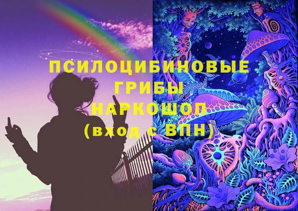 альфа пвп Гусев