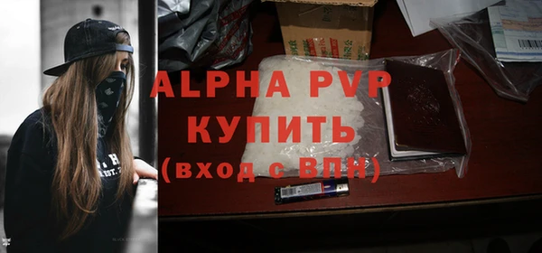 альфа пвп Гусев