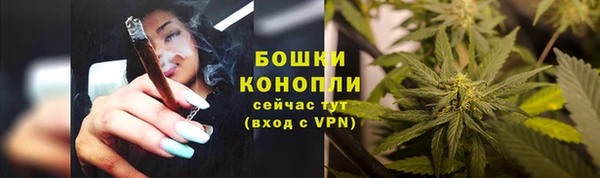 первитин Гусь-Хрустальный