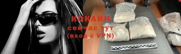 альфа пвп Гусев