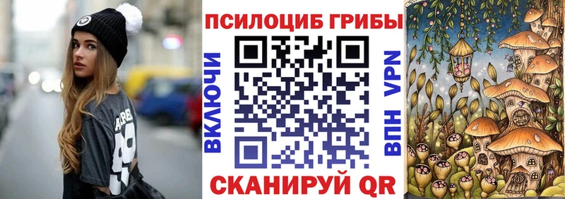 Галлюциногенные грибы Psilocybine cubensis  Донской 