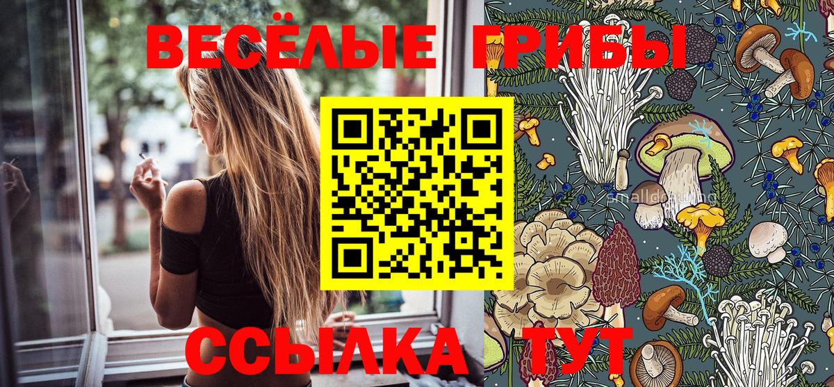 купить наркотики сайты  Вход с VPN  Донской  Галлюциногенные грибы MAGIC MUSHROOMS  Галлюциногенные грибы Psilocybe 